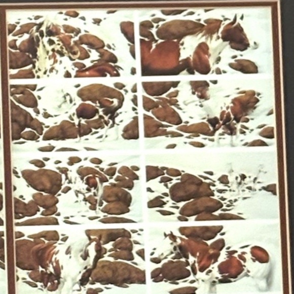 Bev Doolittle "Hide And Seek" Framed Print - Picture 13 of 16